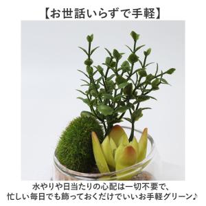 CT触媒 フェイクグリーン 通販 キシマ Sサ...の詳細画像5