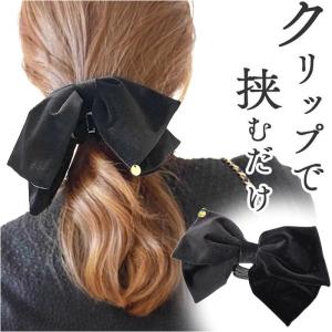 Christian Dior バレッタ リボン エンブロイダリー Twist