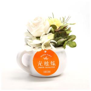 光触媒 通販光触媒 観葉植物 卓上 フェイクグ...の詳細画像3