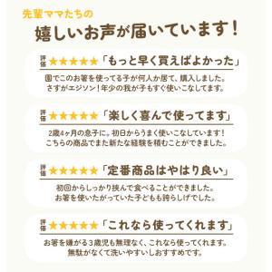 エジソンのお箸 左 左利き 右 右利き キッズ...の詳細画像2