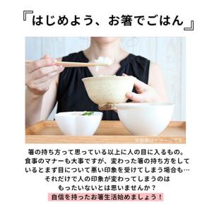 矯正箸 大人用 エジソン 好評 EDISONm...の詳細画像2