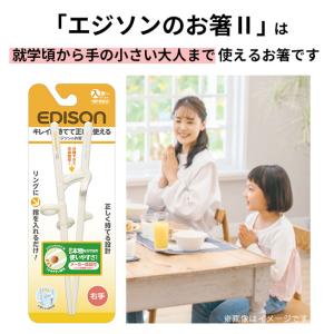 矯正箸 大人用 エジソン 好評 EDISONm...の詳細画像1