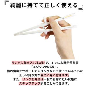 矯正箸 大人用 エジソン 好評 EDISONm...の詳細画像2
