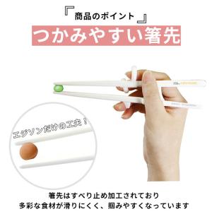 矯正箸 大人用 エジソン 好評 EDISONm...の詳細画像4