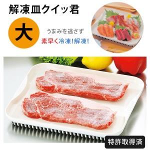 解凍プレート クイッ君 小 時間大幅短縮 急速 スピード