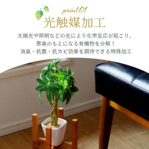 光触媒 通販光触媒 フェイクグリーン 壁掛け ...の詳細画像4