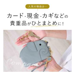 lizdays リズデイズ リール付き パスケ...の詳細画像3