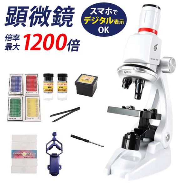 顕微鏡 子供 通販 小学生 中学生 自由研究 マイクロスコープ 標本 知育玩具 子供用顕微鏡 実験 ...