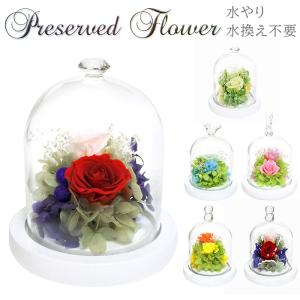 大輪バラ プリザーブドフラワー「レイナ（ガラスドーム