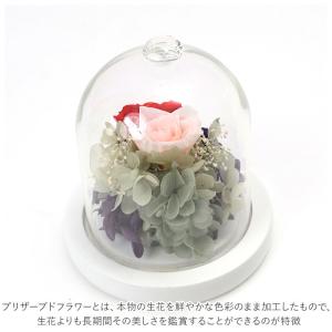 プリザーブドフラワー ガラスドーム 通販 モチ...の詳細画像2