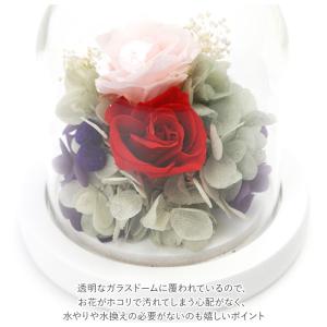 プリザーブドフラワー ガラスドーム 通販 モチ...の詳細画像3