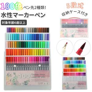 水彩 筆ペン カラーペン 100色セット 水性 細字 太字 プレゼント