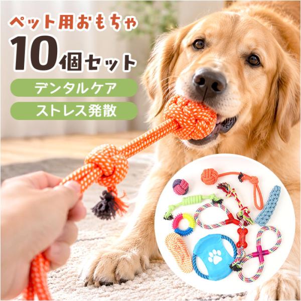 犬 おもちゃ 10個セット 通販 コットンロープ デンタルケア 運動不足解消 引っ張り合い 一人遊び...