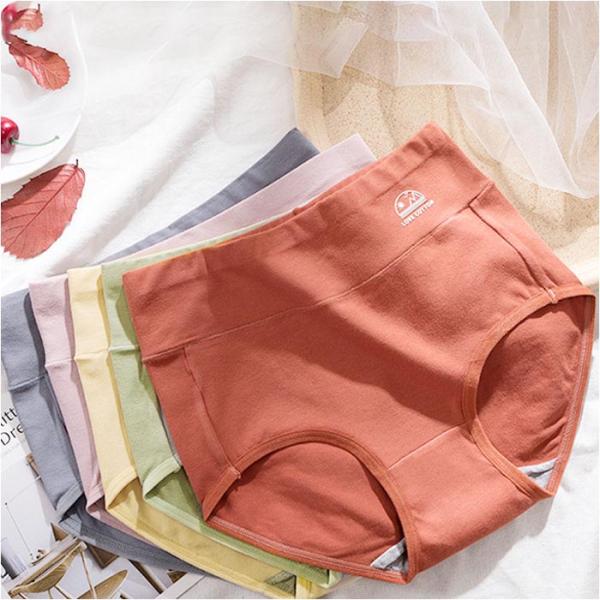 ショーツ 通販ショーツ レディース 深ばき セット 深ばきショーツ 5枚 パンツ 下着 女性 深め ...