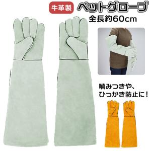 ペット 通販ペット 噛みつき 手袋 ペットグロー...の商品画像