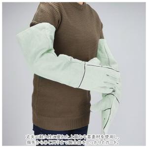 ペット 通販ペット 噛みつき 手袋 ペットグロ...の詳細画像2
