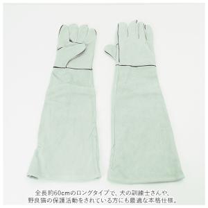 ペット 通販ペット 噛みつき 手袋 ペットグロ...の詳細画像4