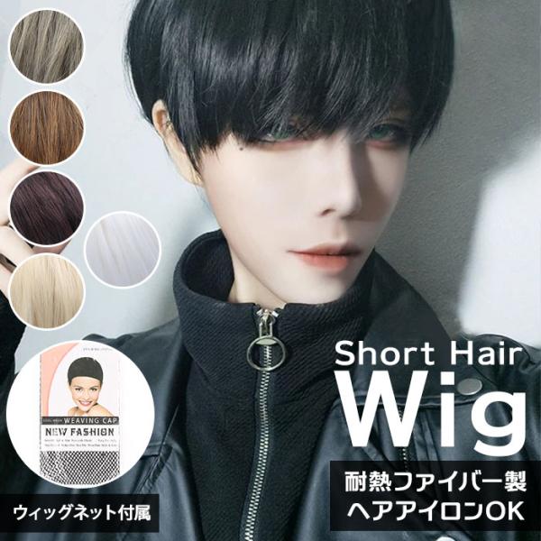 ウィッグ 通販ウィッグ ショート メンズ レデイース フルウィッグ 男装 ウイッグ かつら つけ毛 ...