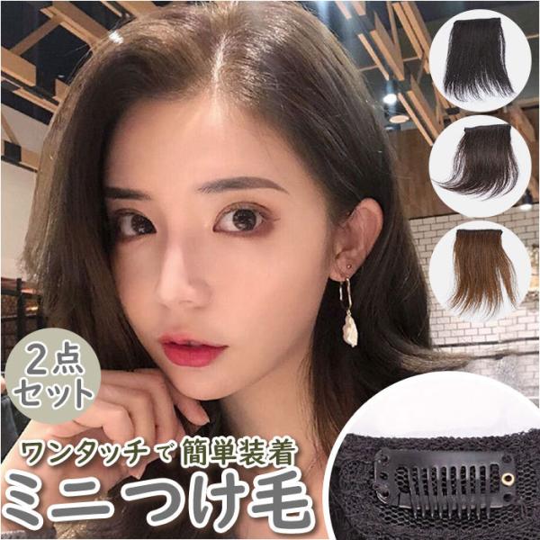 エクステ 人毛 ワンタッチ 2個セット 通販 つけ毛 ミニ 部分ウィッグ ウイッグ ポイントウィッグ...