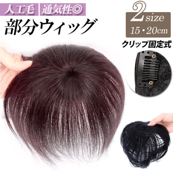 部分ウィッグ 通販部分ウィッグ 人工毛 頭頂部 白髪隠し つむじ ウィッグ 人工毛100% つけ毛 ...