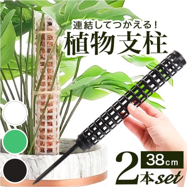 モスポール 2本セット 通販 支柱 観葉植物 ガーデニング 園芸用 支え 植物 園芸支柱 植物支柱 ...