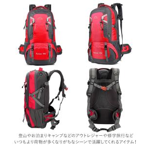 登山 リュック 通販 大容量 60l レディー...の詳細画像2