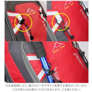 登山 リュック 通販 大容量 60l レディー...の詳細画像3