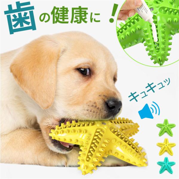 犬 歯磨き おもちゃ 通販 噛むおもちゃ 歯磨きおもちゃ 犬おもちゃ 犬オモチャ ペットおもちゃ 玩...