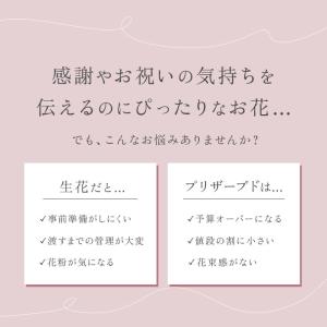 ヒルトップ HillTop ヒルトップ エレガ...の詳細画像2