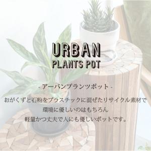 植木鉢 おしゃれ プラスチック 6号 通販 6...の詳細画像1