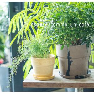 植木鉢 おしゃれ プラスチック 6号 通販 6...の詳細画像5