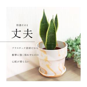 植木鉢 プラスチック おしゃれ 5号 通販 鉢...の詳細画像3