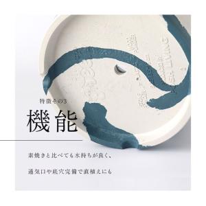 植木鉢 プラスチック おしゃれ 5号 通販 鉢...の詳細画像5