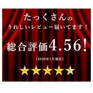 トイレマット セット トイレカバー おしゃれ ...の詳細画像1