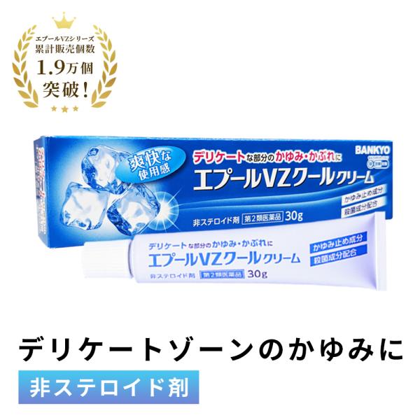 エプールVZクール 第2類医薬品 デリケートゾーン 湿疹 クリーム かぶれ あせも かゆみ バンキョ...