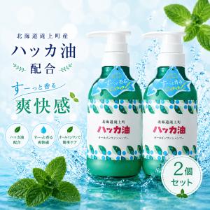 [2本セット]北海道産ハッカ油配合 オールインワンシャンプー 365mL ノンシリコン アミノ酸シャンプー 日本製 頭皮ケア 清涼感 デイリーアロマジャパン