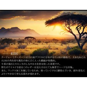 バギーポート 二つ折り財布 メンズ レディース...の詳細画像4