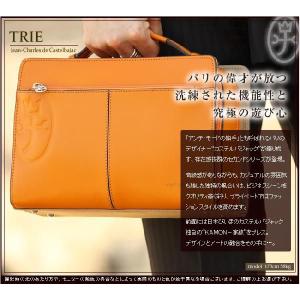 生産終了モデル カステルバジャック トリエ セカンドバッグ バッグ メンズ 牛革 CASTELBAJAC 164203 バジャック WS