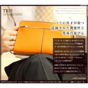 生産終了モデル カステルバジャック セカンドバッグ バッグ メンズ トリエ S 牛革 164204 CASTELBAJAC バジャック WS