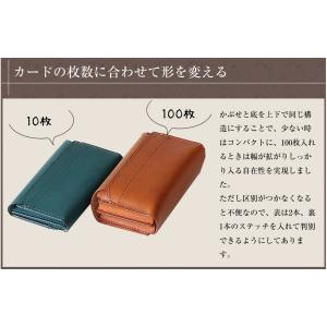 m+ エムピウ カードケース cento2 チ...の詳細画像3