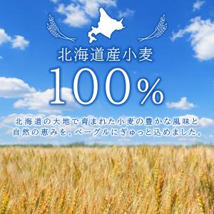 ベーグル お取り寄せ ワイルドブルーベリー 冷...の詳細画像4