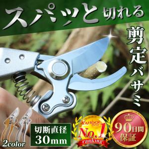 剪定ばさみ バサミ はさみ ハサミ 枝切り園芸 ガーデニング