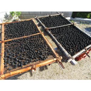 烏梅 70g 奈良月ヶ瀬 国選定保存技術の詳細画像3