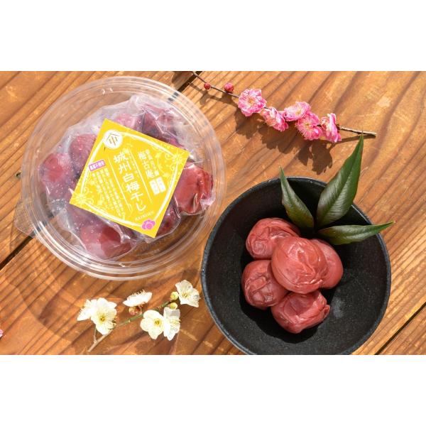 梅干し　農薬不使用　無添加　城州白　手づくり　しそ漬け　樹齢200年　お徳用　奈良県産