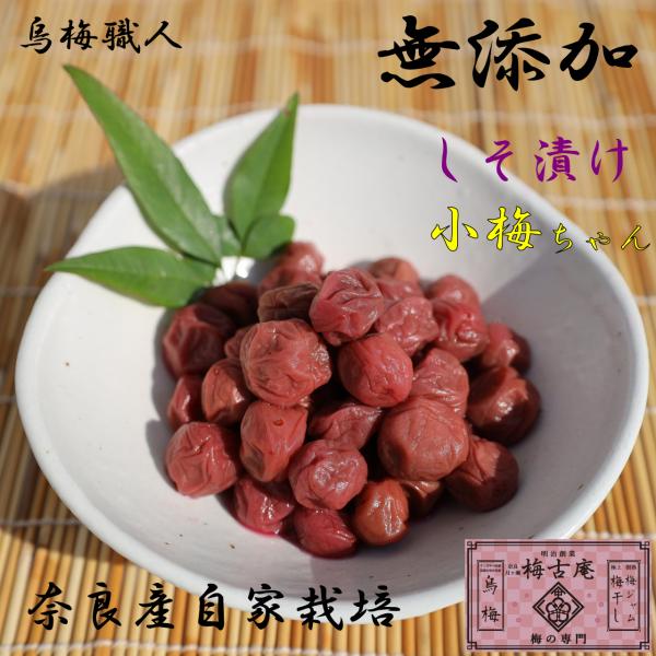 梅干し　無添加　小梅　手づくり　しそ漬け　奈良県産　お弁当用
