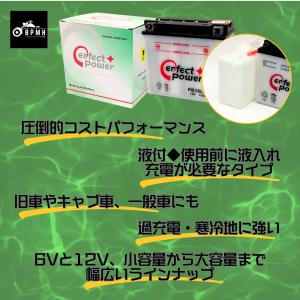 パーフェクトパワー PB18L-A 開放型バッ...の詳細画像2