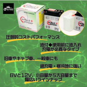 パーフェクトパワー PB3L-A 開放型バイク...の詳細画像2