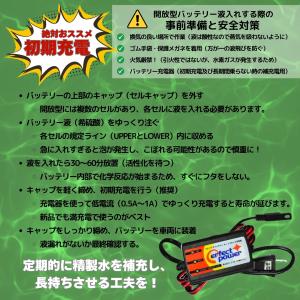 パーフェクトパワー PB3L-A 開放型バイク...の詳細画像4