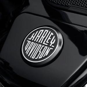 ロゴ メダリオン　harley davidson medallion