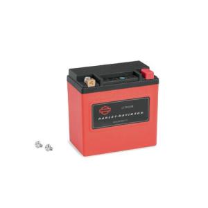 Harley Davidson（ハーレー・ダビッドソン） 4Ah Lithium LiFe Battery
